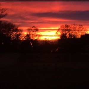 Meet your Posher, Arianna